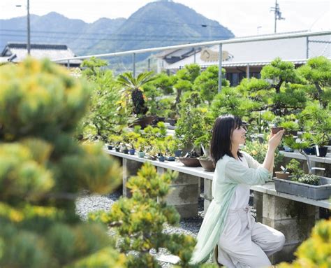 ビバホーム 館林：都市と自然の調和を探る